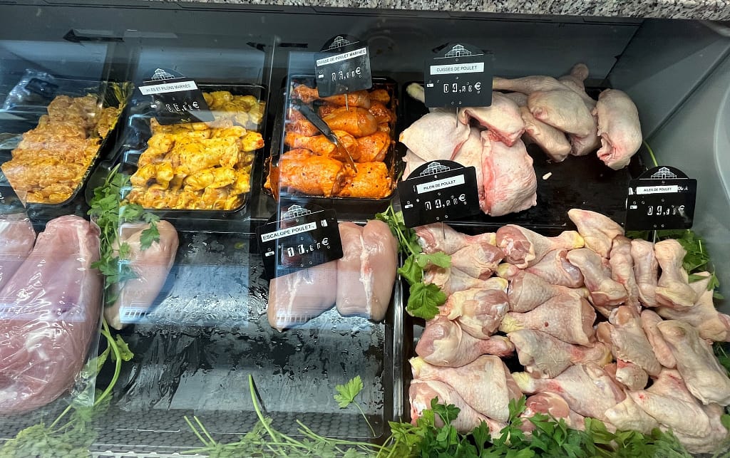 586391440 122175476282766379 7968753857872241962 n