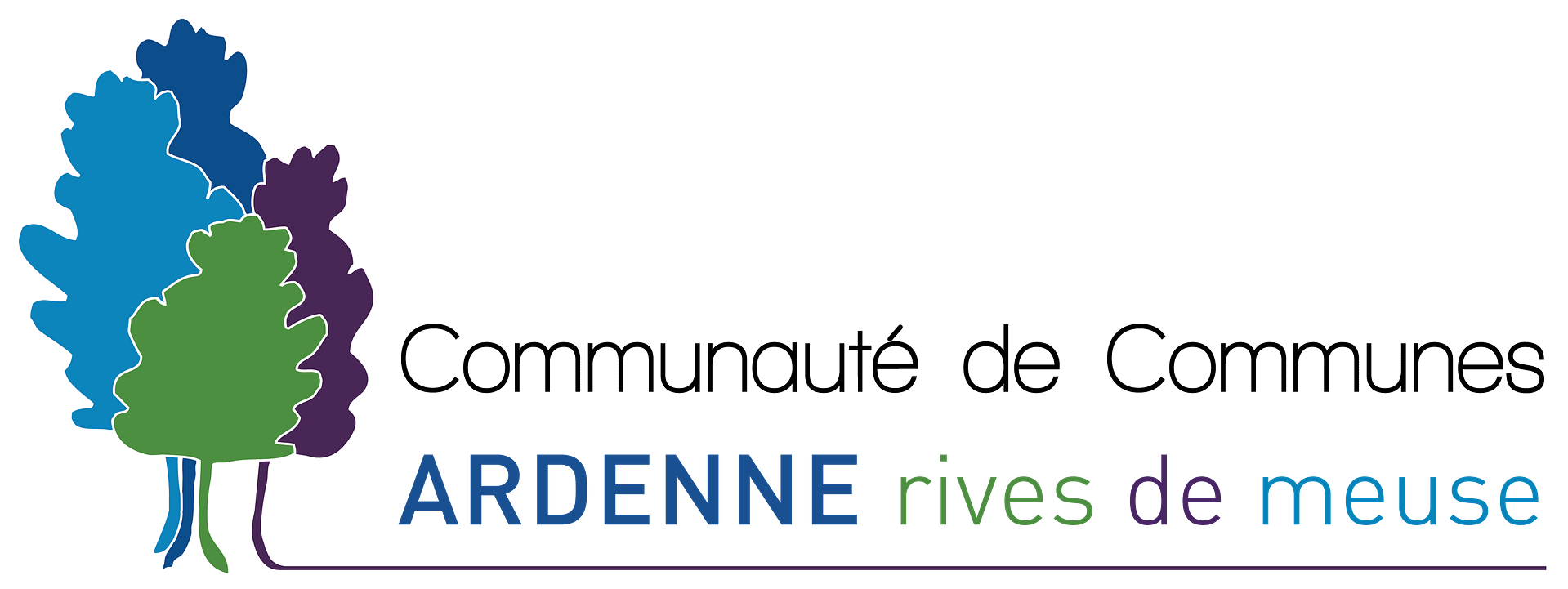 nouveau logo ccarm redesigné en long png