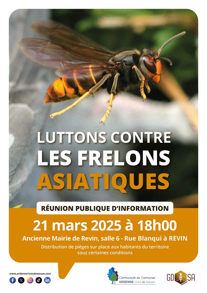 affiche frelon 20252