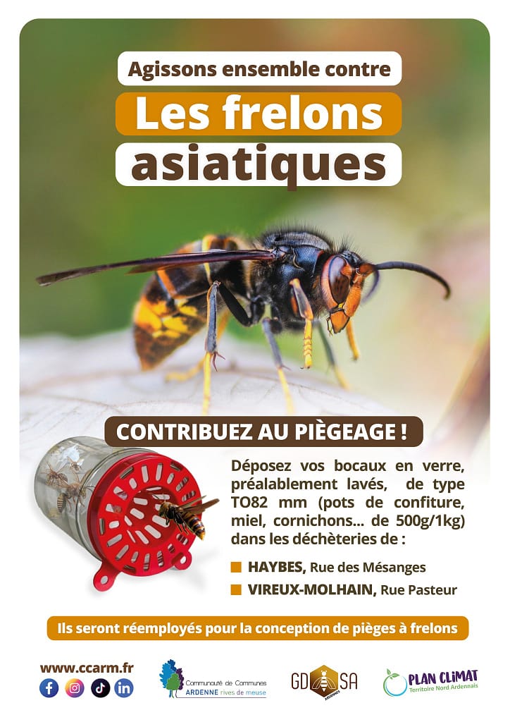 635216858 122185956266766379 3459213439008643717 n