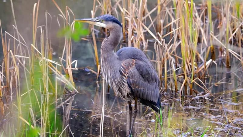 5de491ef a4a8 4a71 aa24 c94d7e046ac1 photo 1701302918988 b9c7a574ed141