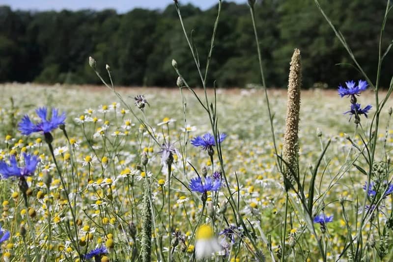 0e708230 f994 4301 ab72 2e2627c6d4a9 photo 1605800594057 5f8b7a00b9c5