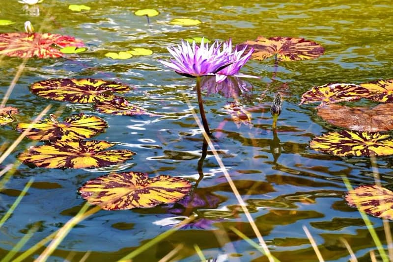 880fdf6b b308 424c 96f8 b2eb811d16d6 photo 1745423282538 67b629efad3e