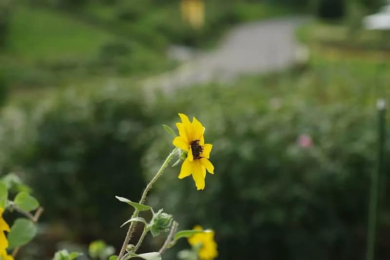 f54e783d 830e 4b4d 8a67 c42d5b8fe2f4 photo 1724502630774 0e842cedd53b